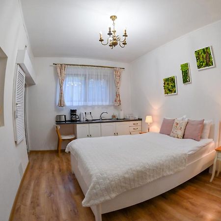 Transilvania Apartment Σίμπιου Εξωτερικό φωτογραφία